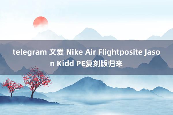telegram 文爱 Nike Air Flightposite Jason Kidd PE复刻版归来