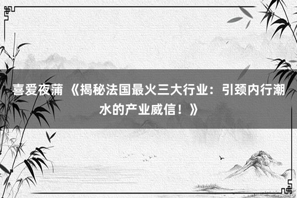 喜爱夜蒲 《揭秘法国最火三大行业：引颈内行潮水的产业威信！》