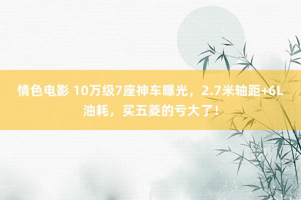 情色电影 10万级7座神车曝光，2.7米轴距+6L油耗，买五菱的亏大了！
