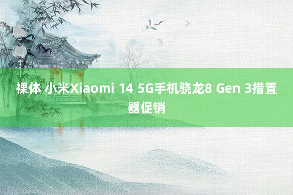 裸体 小米Xiaomi 14 5G手机骁龙8 Gen 3措置器促销