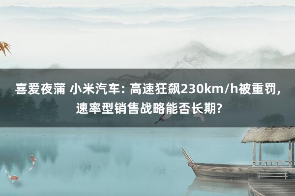喜爱夜蒲 小米汽车: 高速狂飙230km/h被重罚， 速率型销售战略能否长期?